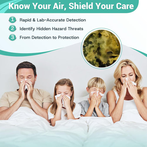 Petri - 4-Test Home Mold Kit