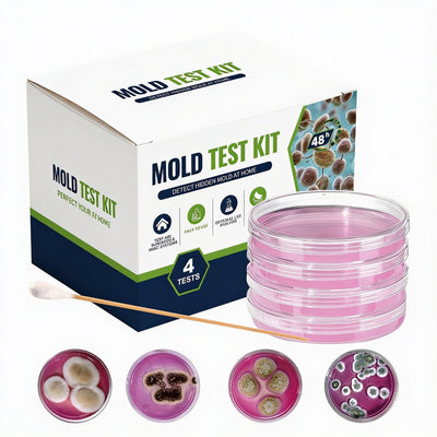 Petri - 4-Test Home Mold Kit