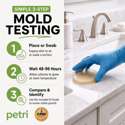 Petri - 4-Test Home Mold Kit