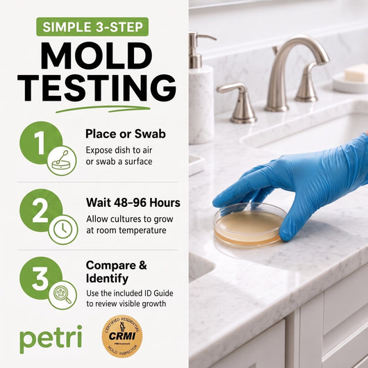 Petri - 4-Test Home Mold Kit