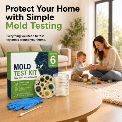 Petri - 4-Test Home Mold Kit