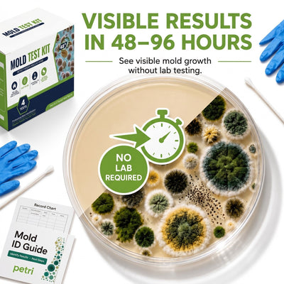 Petri - 4-Test Home Mold Kit